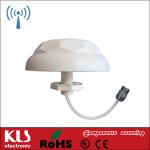 Ceiling mount antennas
